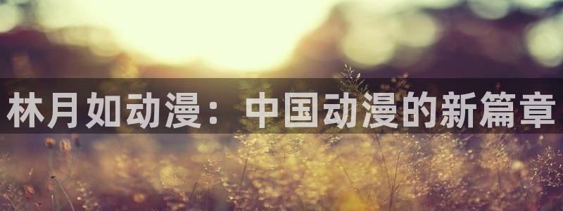 囧次元app最新版