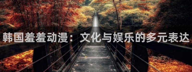 囧次元官方入口下载