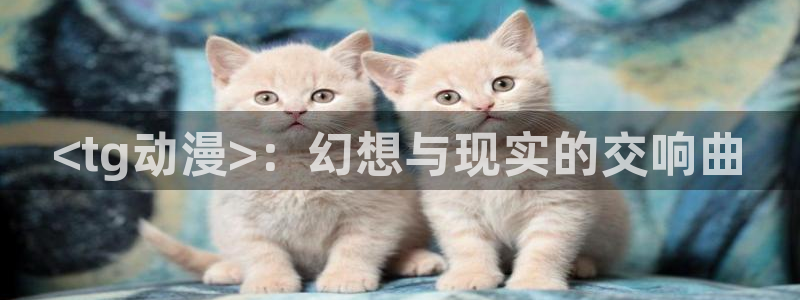 囧次元 翻译