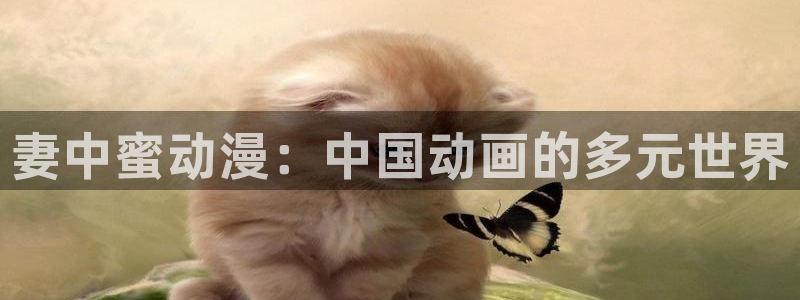 囧次元正版下载安装
