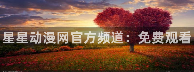 囧次元正版app下载网址