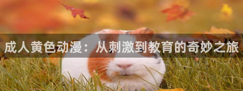jcyapp:org囧次元官网