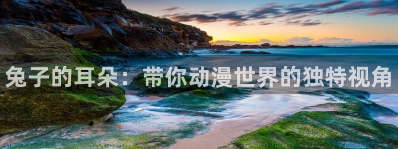 囧次元官网入口网址