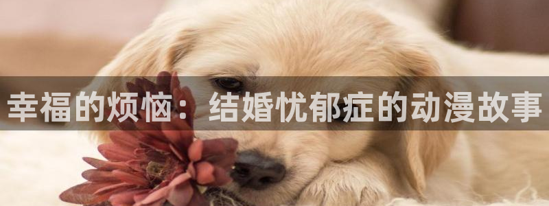 囧次元最新