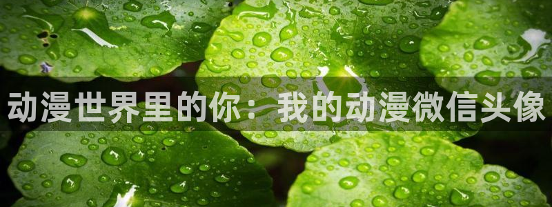 囧次元苹果