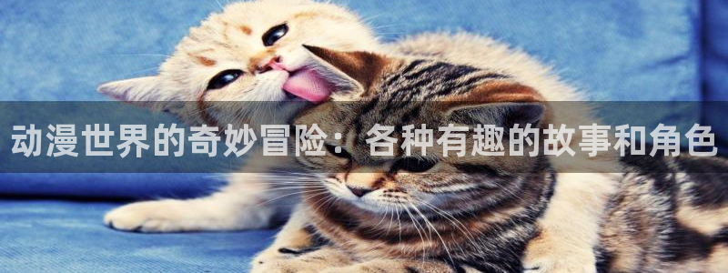 囧次元app下载官方版