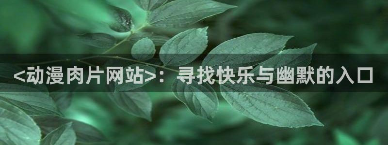 囧次元免费