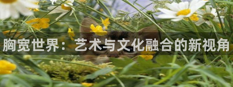 囧次元官方
