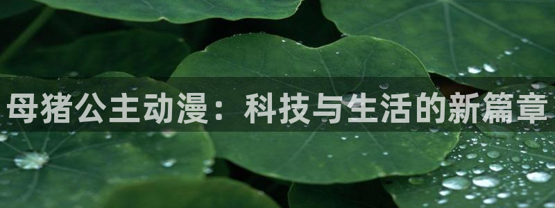囧次元官网官方入口