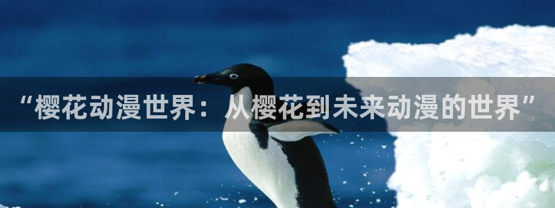 囧次元新版下载