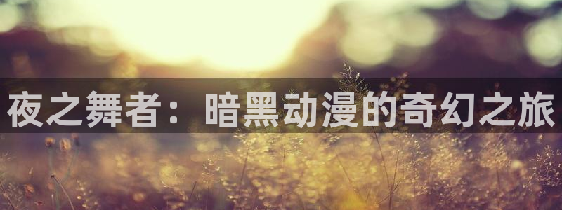 com.囧次元.www：夜之舞者：暗黑动漫的奇幻之旅