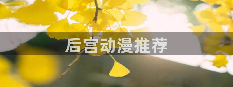 囧次元官方：后宫动漫推荐