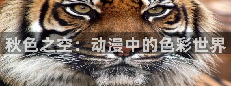 囧次元正版下载：秋色之空：动漫中的色彩世界